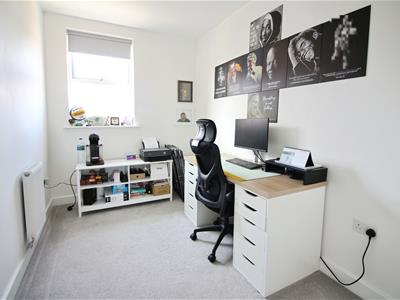 Picture 13